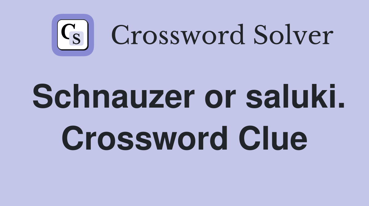 Schnauzer or saluki. Crossword Clue