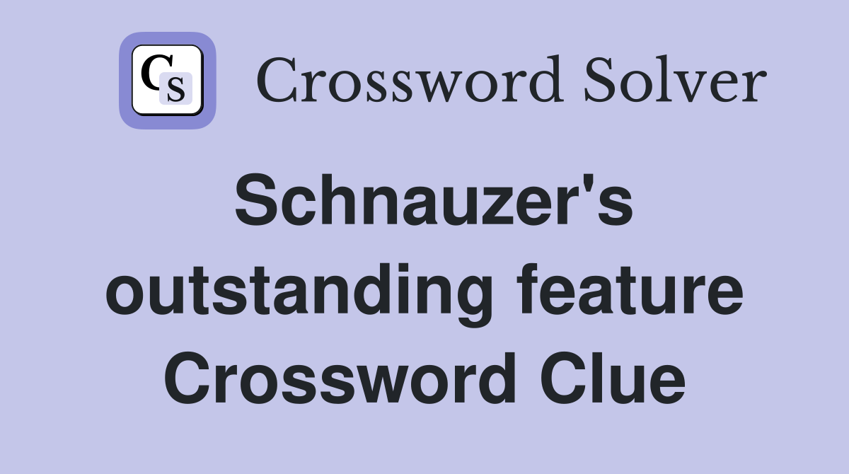 Schnauzer's outstanding feature Crossword Clue