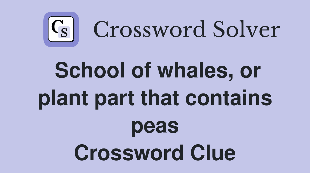 School of whales or plant part that contains peas Crossword Clue