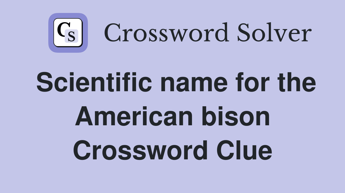 Scientific name for the American bison Crossword Clue