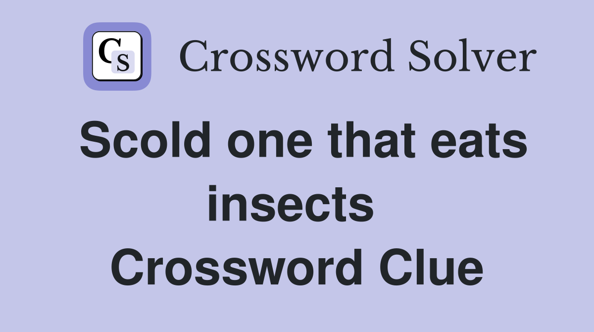 Scold one that eats insects  Crossword Clue