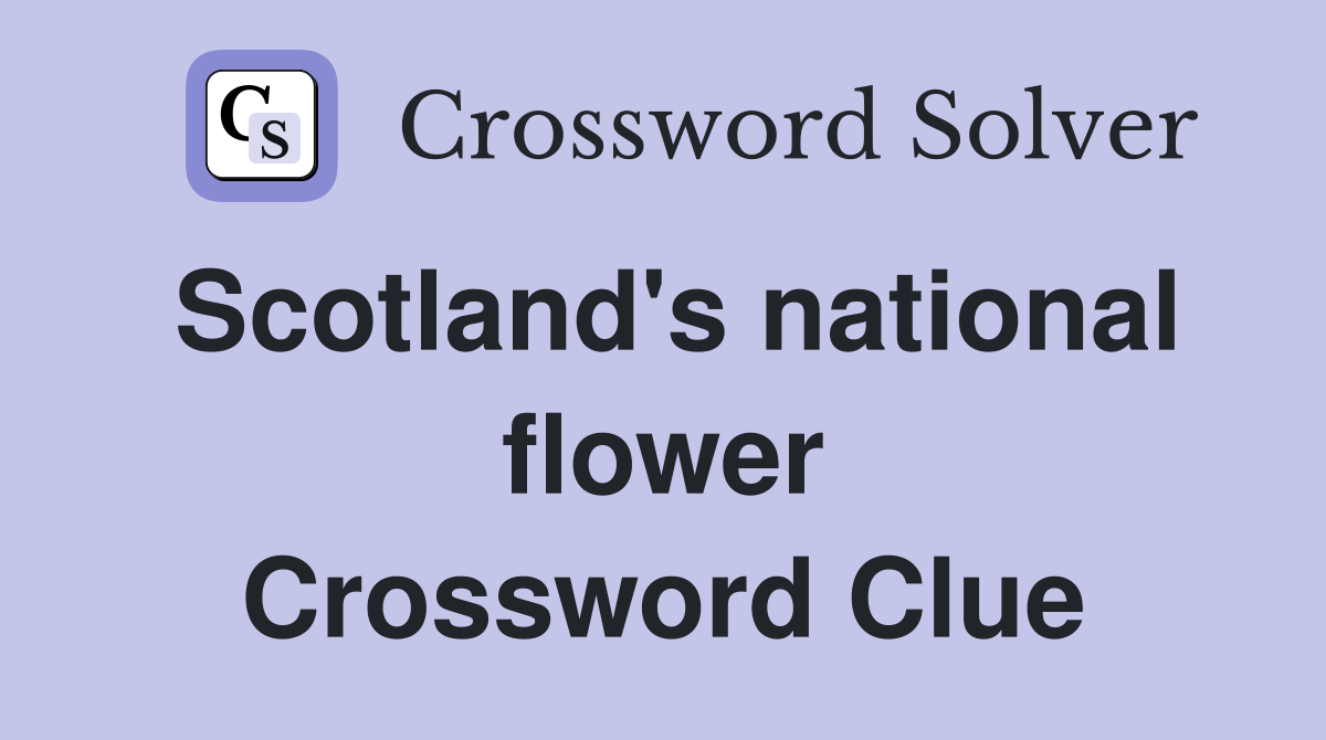 Scotland's national flower Crossword Clue
