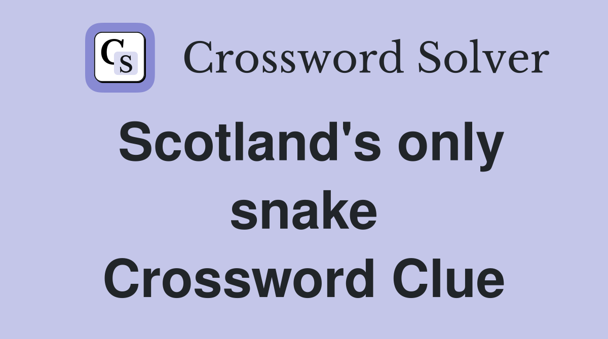 Scotland's only snake Crossword Clue
