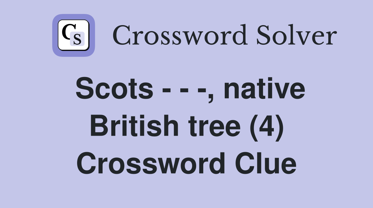 Scots - - -, native British tree (4) Crossword Clue