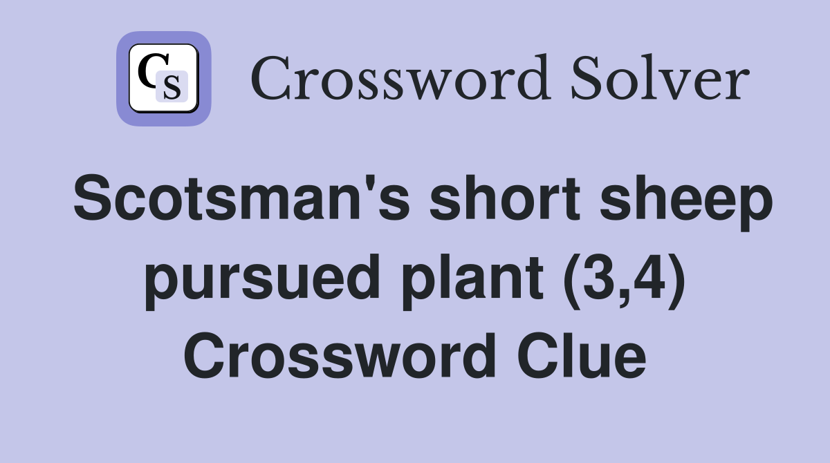 Scotsman's short sheep pursued plant (3,4) Crossword Clue