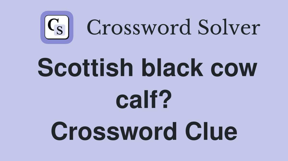 Scottish black cow calf? Crossword Clue