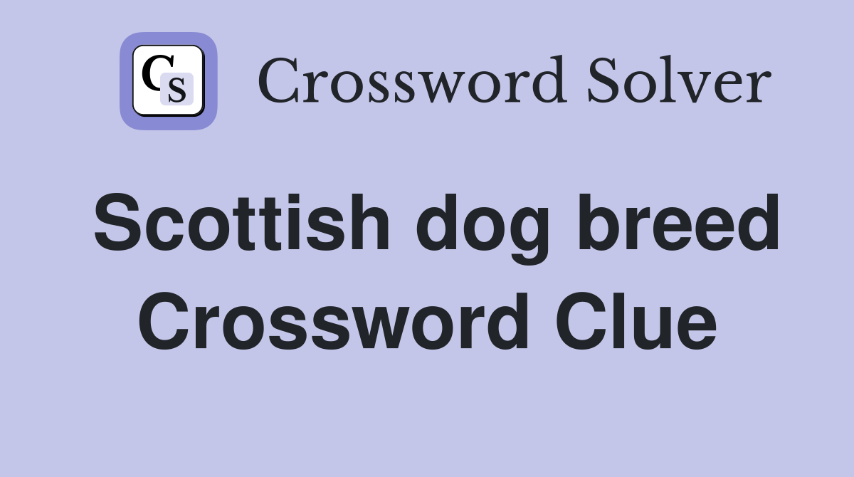 Scottish dog breed Crossword Clue