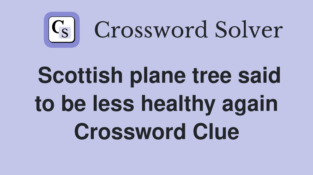 Scottish plane tree said to be less healthy again Crossword Clue
