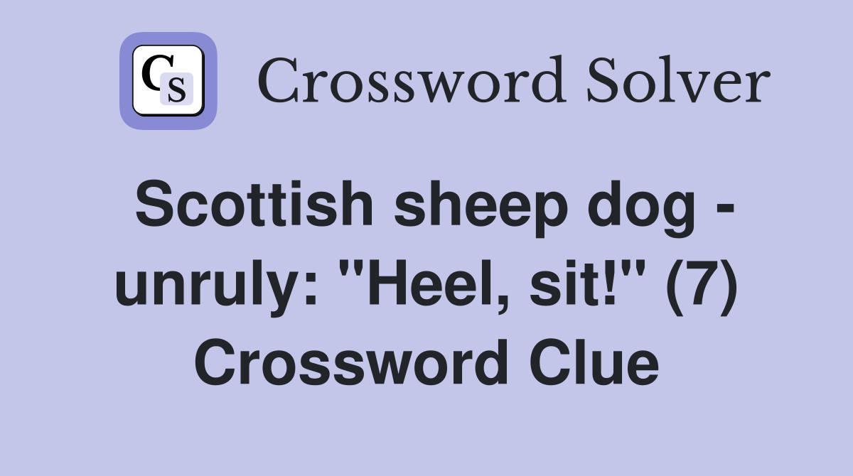 Scottish sheep dog - unruly: "Heel, sit!" (7) Crossword Clue