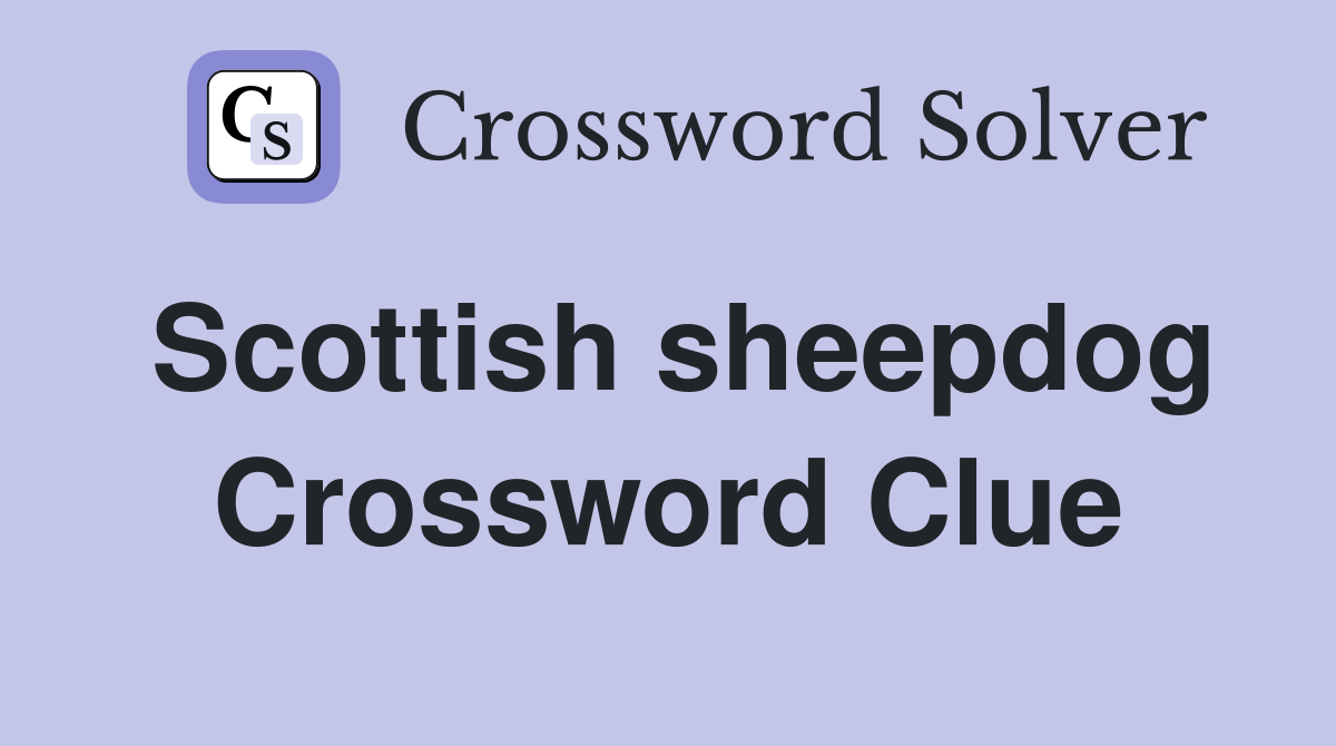 Scottish sheepdog Crossword Clue