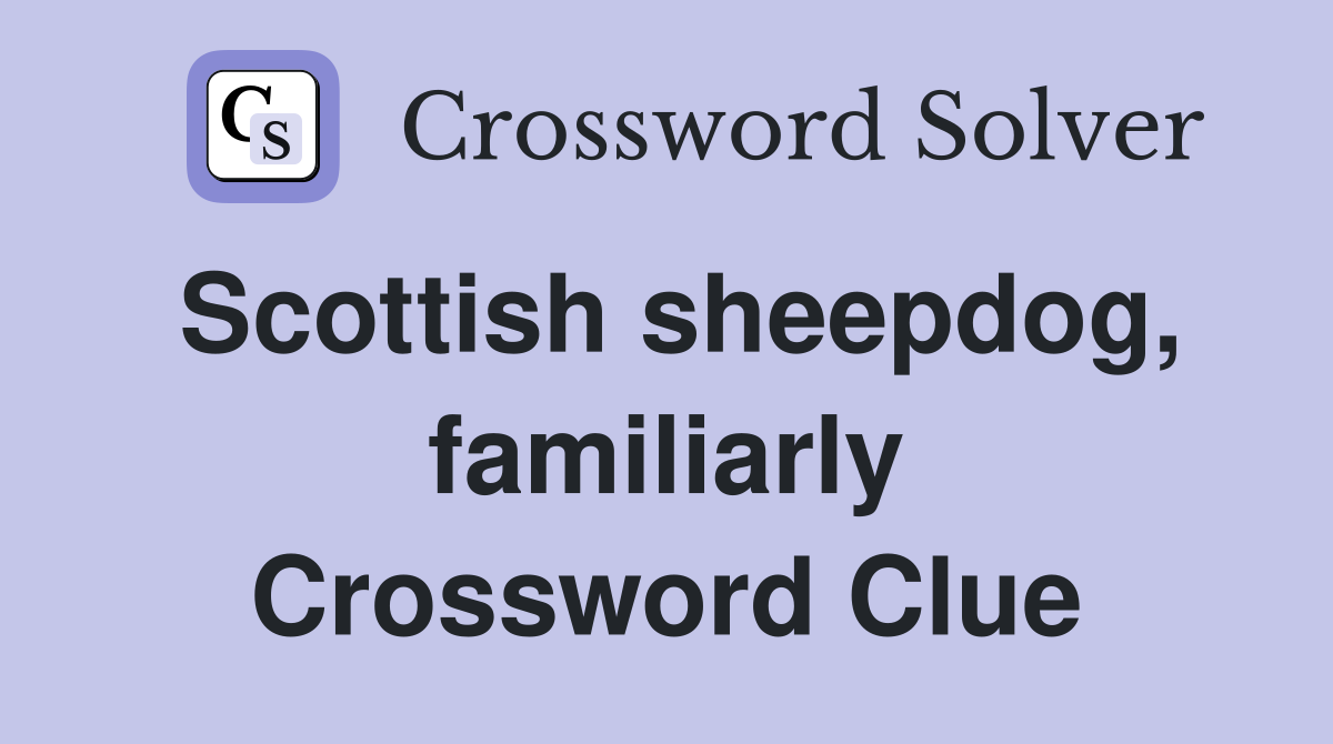 Scottish sheepdog, familiarly Crossword Clue