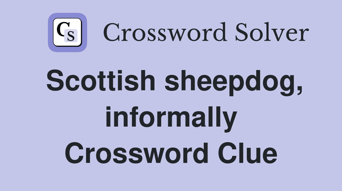 Scottish sheepdog, informally Crossword Clue