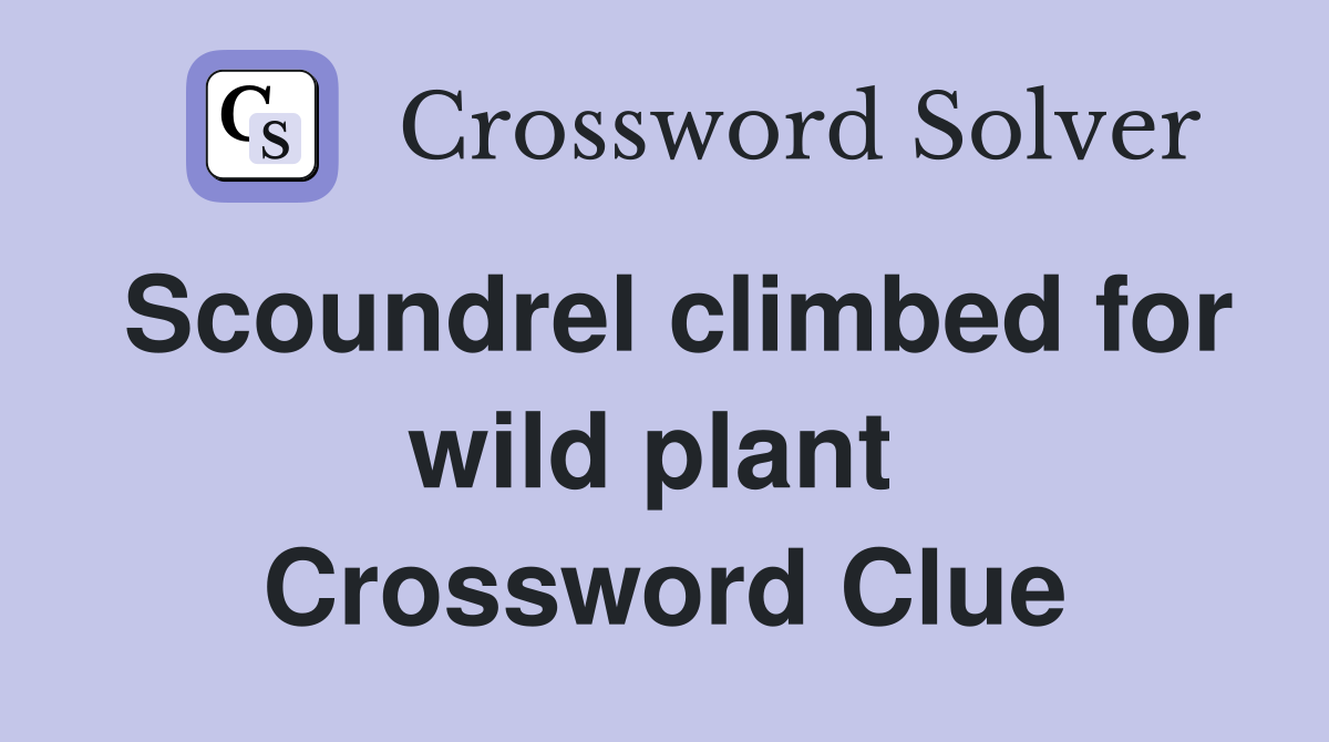 Scoundrel climbed for wild plant  Crossword Clue