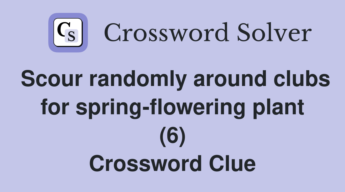 Scour randomly around clubs for spring-flowering plant (6) Crossword Clue
