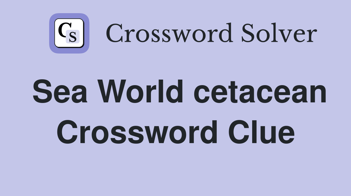 Sea World cetacean Crossword Clue