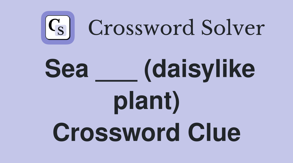 Sea ___ (daisylike plant) Crossword Clue