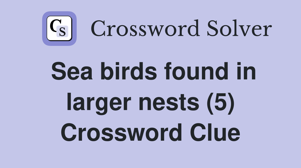 Sea birds found in larger nests (5) Crossword Clue