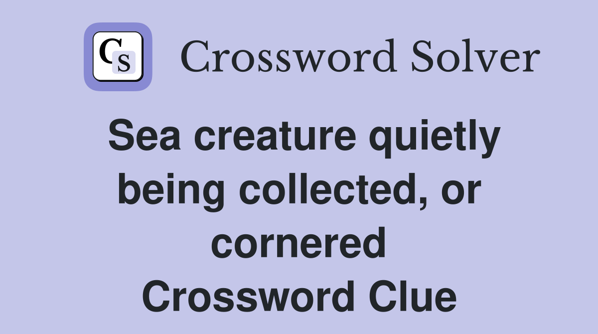 Sea creature quietly being collected, or cornered Crossword Clue