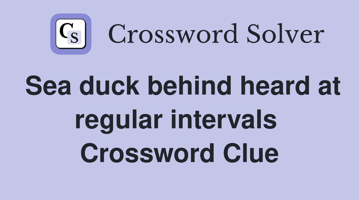 Sea duck behind heard at regular intervals  Crossword Clue