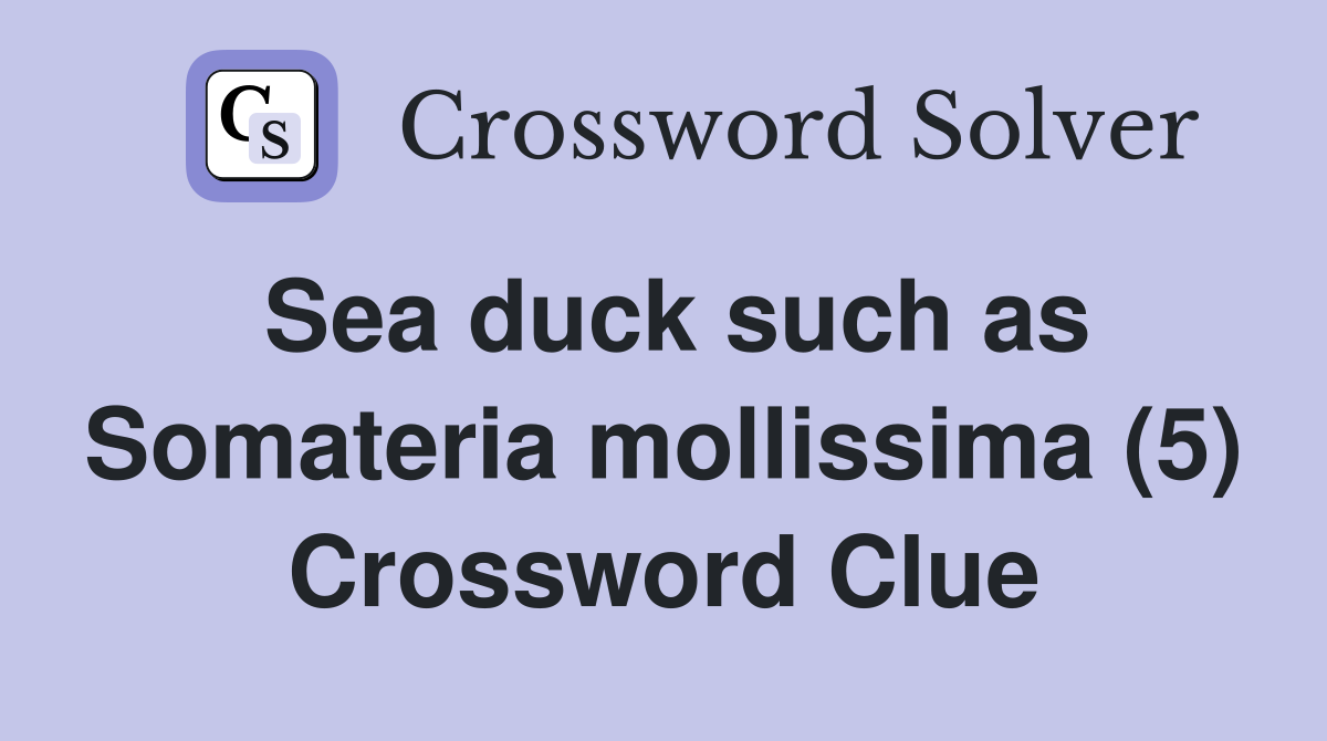 Sea duck such as Somateria mollissima (5) Crossword Clue