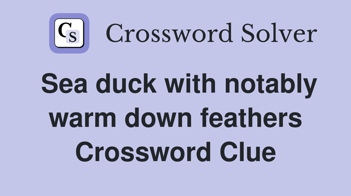 Sea duck with notably warm down feathers Crossword Clue