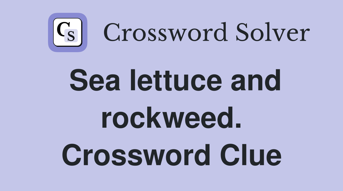Sea lettuce and rockweed. Crossword Clue