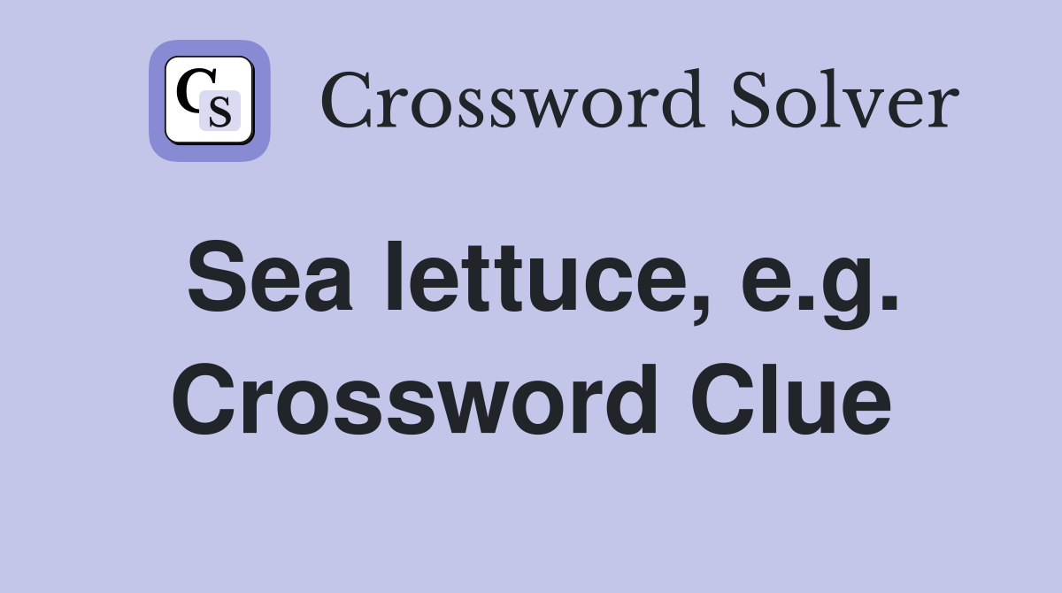 Sea lettuce, e.g. Crossword Clue