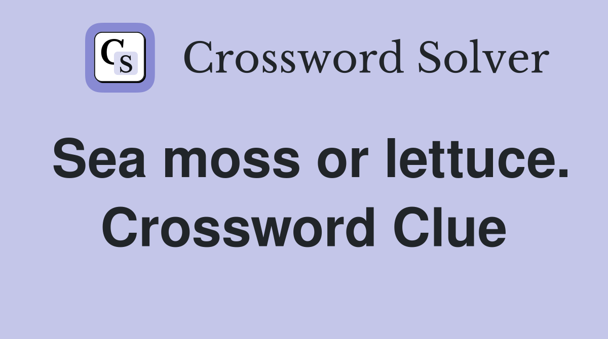 Sea moss or lettuce. Crossword Clue