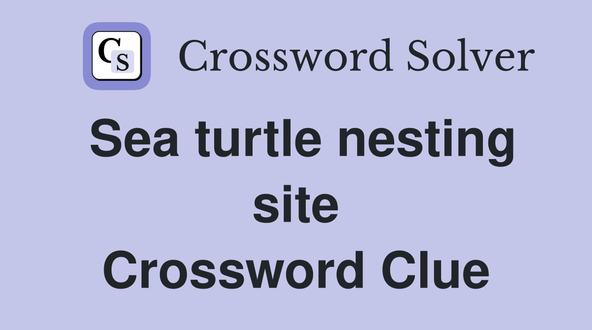 Sea turtle nesting site Crossword Clue