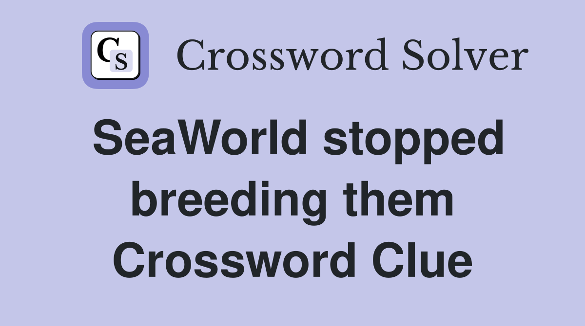 SeaWorld stopped breeding them Crossword Clue