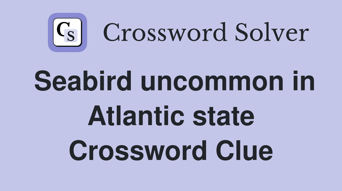 Seabird uncommon in Atlantic state Crossword Clue