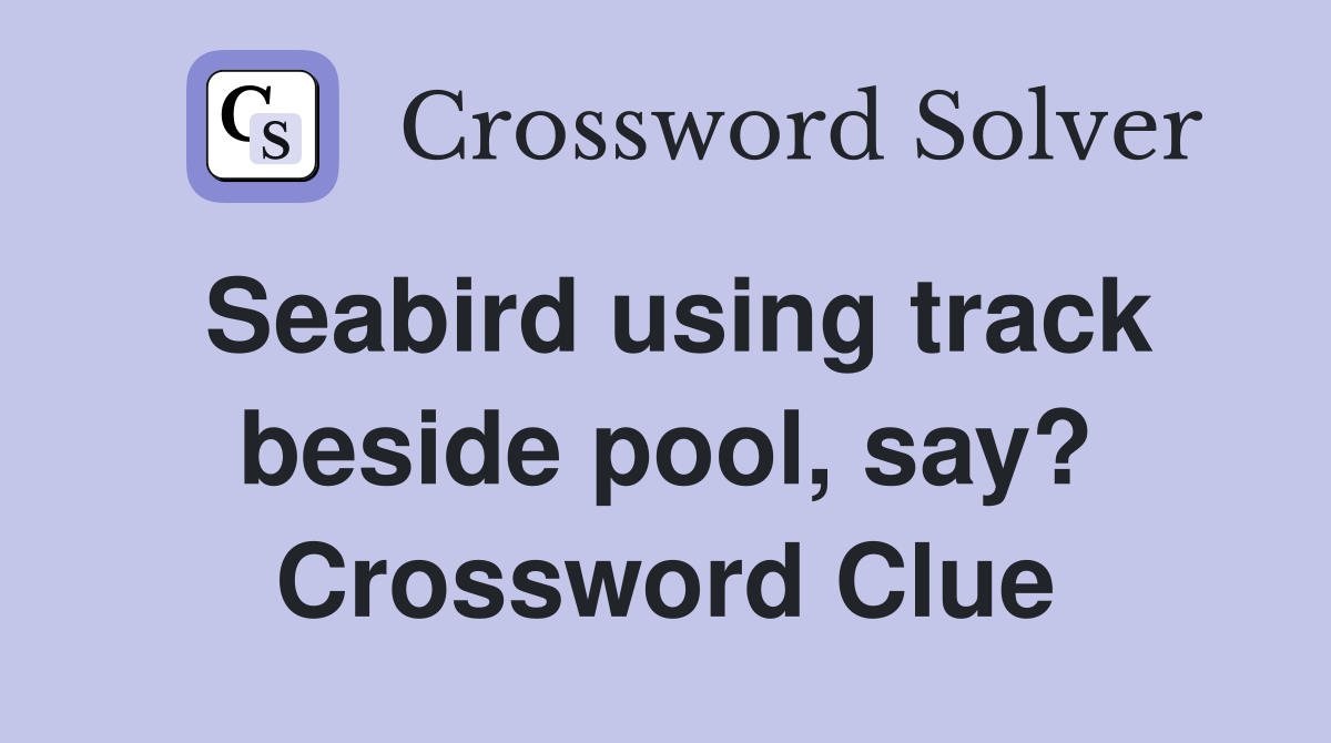 Seabird using track beside pool, say? Crossword Clue