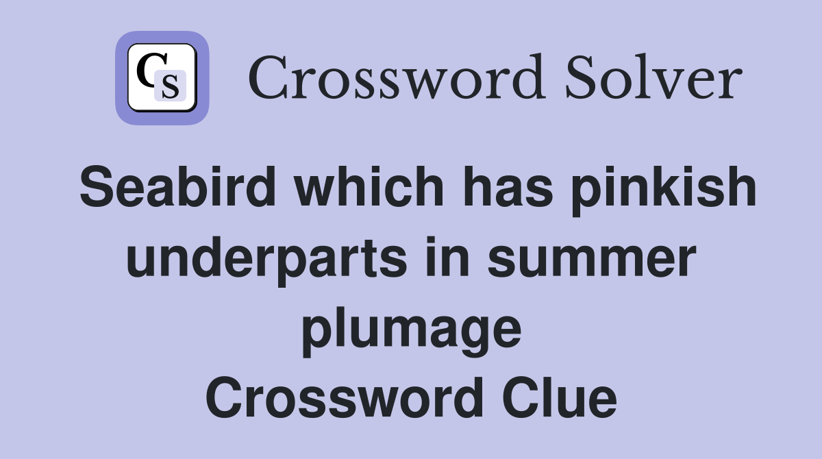 Seabird which has pinkish underparts in summer plumage Crossword Clue