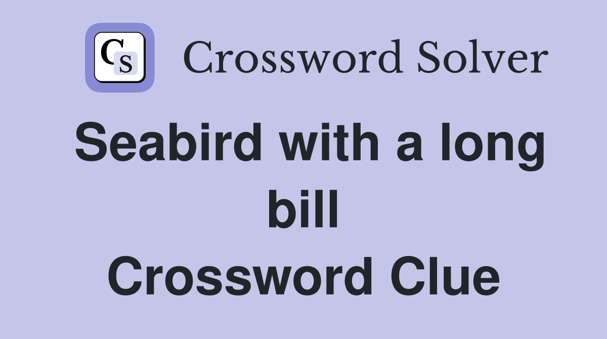 Seabird with a long bill Crossword Clue