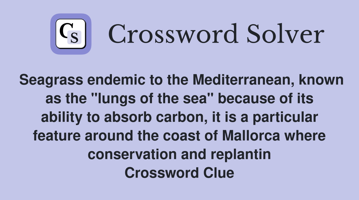 Seagrass endemic to the Mediterranean, known as the "lungs of the sea" because of its ability to absorb carbon, it is a particular feature around the coast of Mallorca where conservation and replantin Crossword Clue