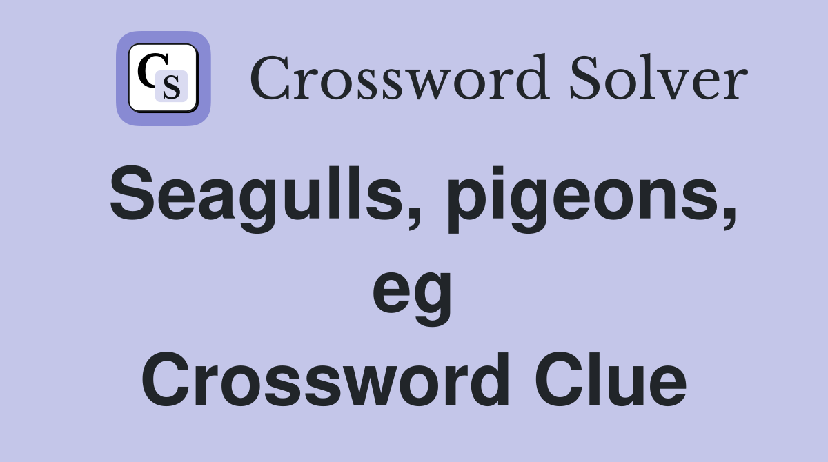 Seagulls, pigeons, eg Crossword Clue