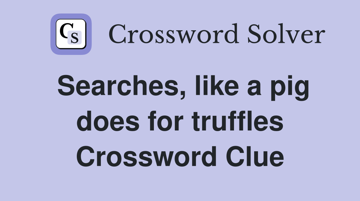 Searches, like a pig does for truffles Crossword Clue