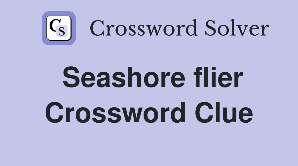 Seashore flier Crossword Clue