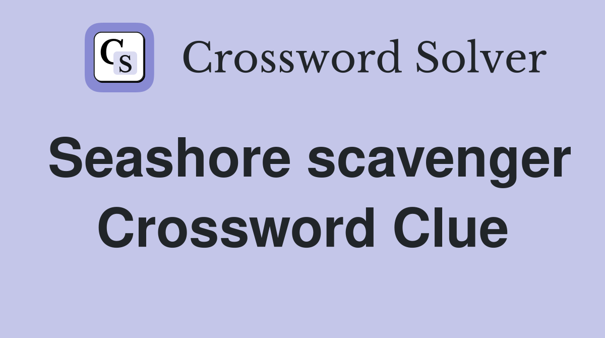 Seashore scavenger Crossword Clue