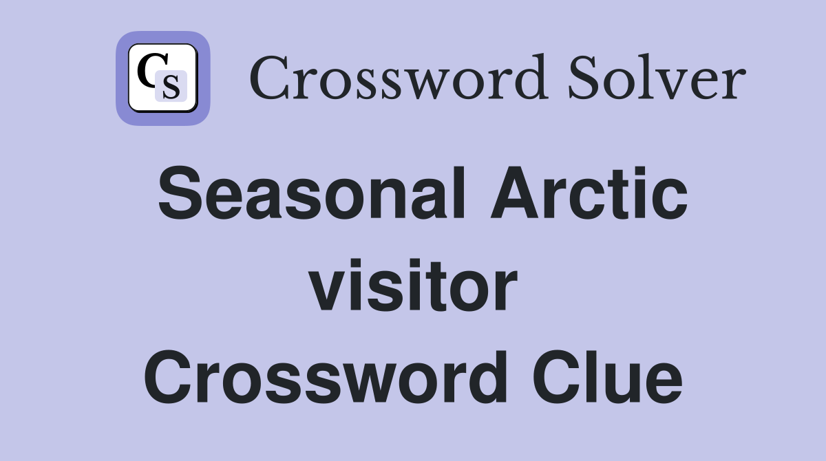 Seasonal Arctic visitor Crossword Clue