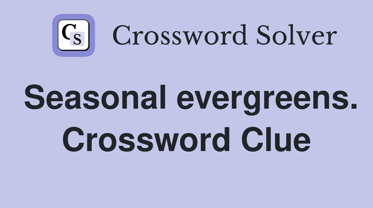Seasonal evergreens. Crossword Clue