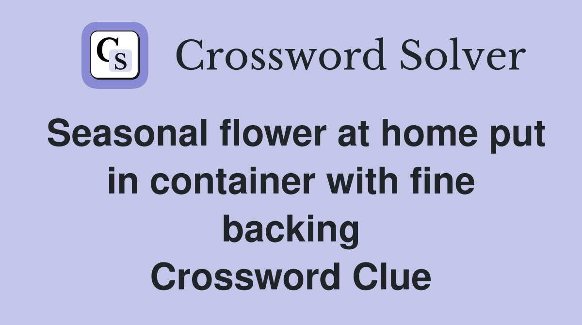 Seasonal flower at home put in container with fine backing Crossword Clue