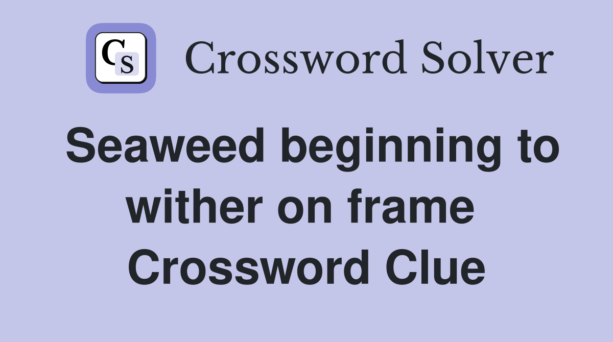 Seaweed beginning to wither on frame  Crossword Clue