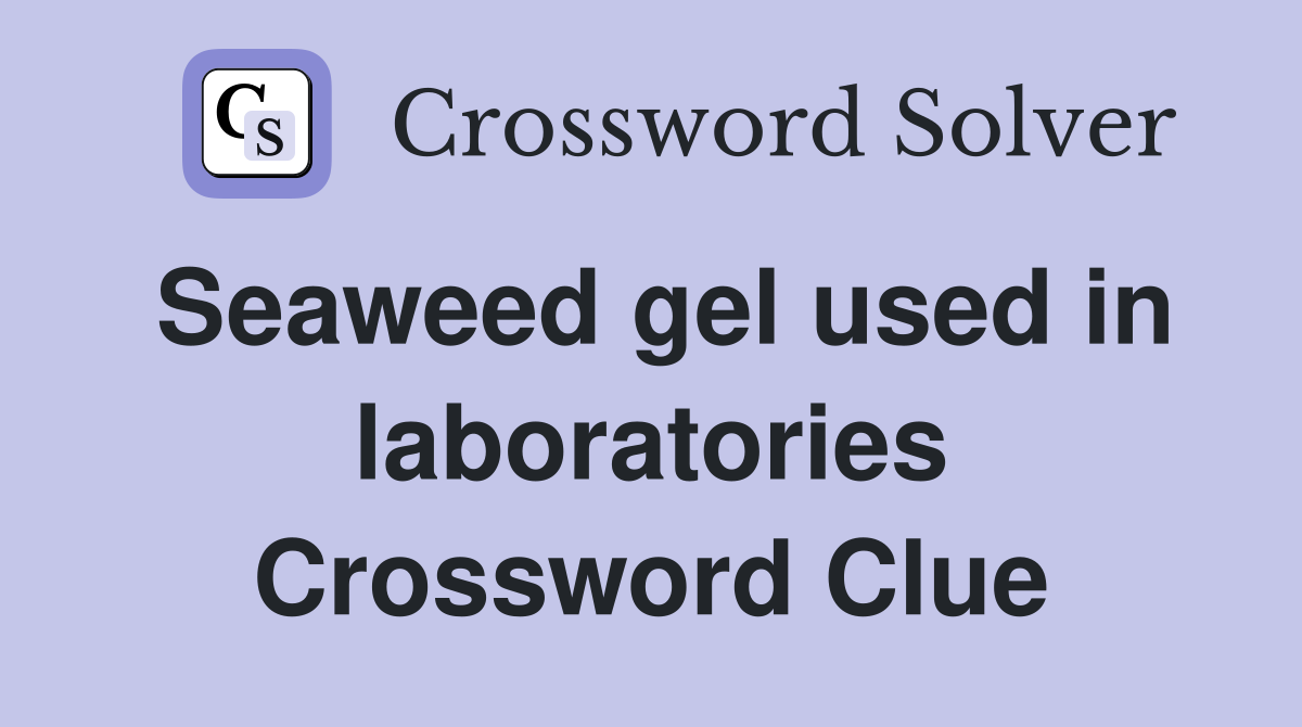 Seaweed gel used in laboratories Crossword Clue