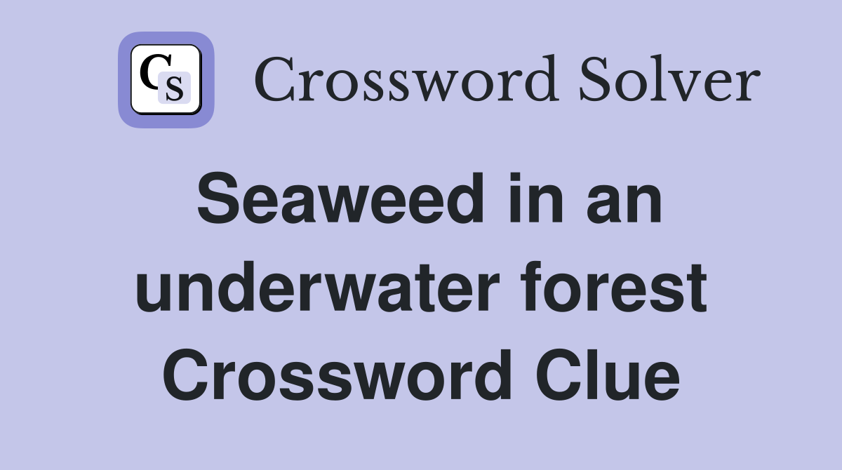 Seaweed in an underwater forest Crossword Clue