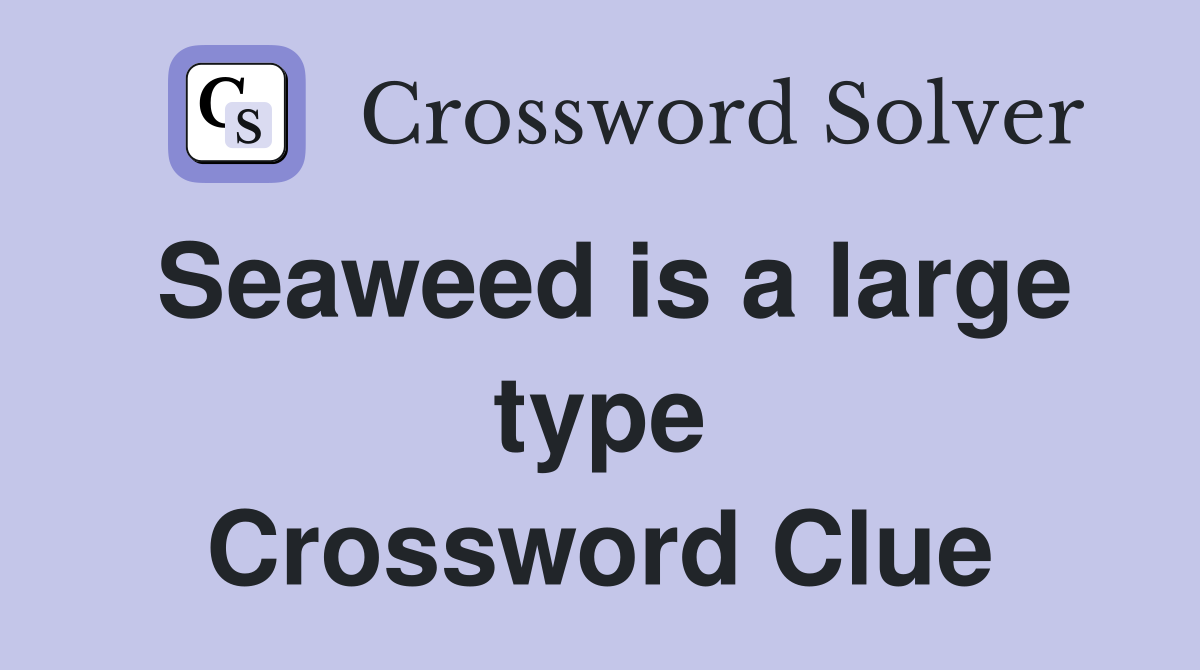 Seaweed is a large type Crossword Clue