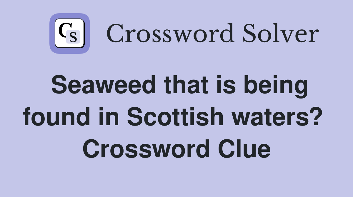 Seaweed that is being found in Scottish waters?  Crossword Clue