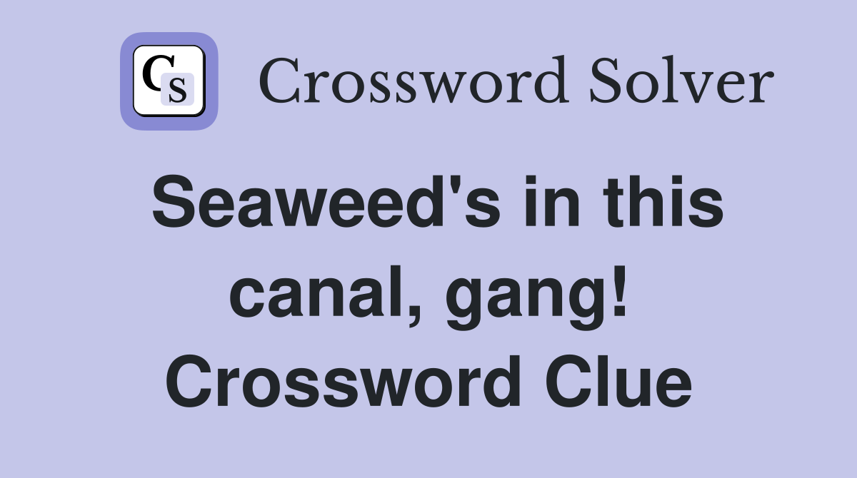 Seaweed's in this canal, gang! Crossword Clue