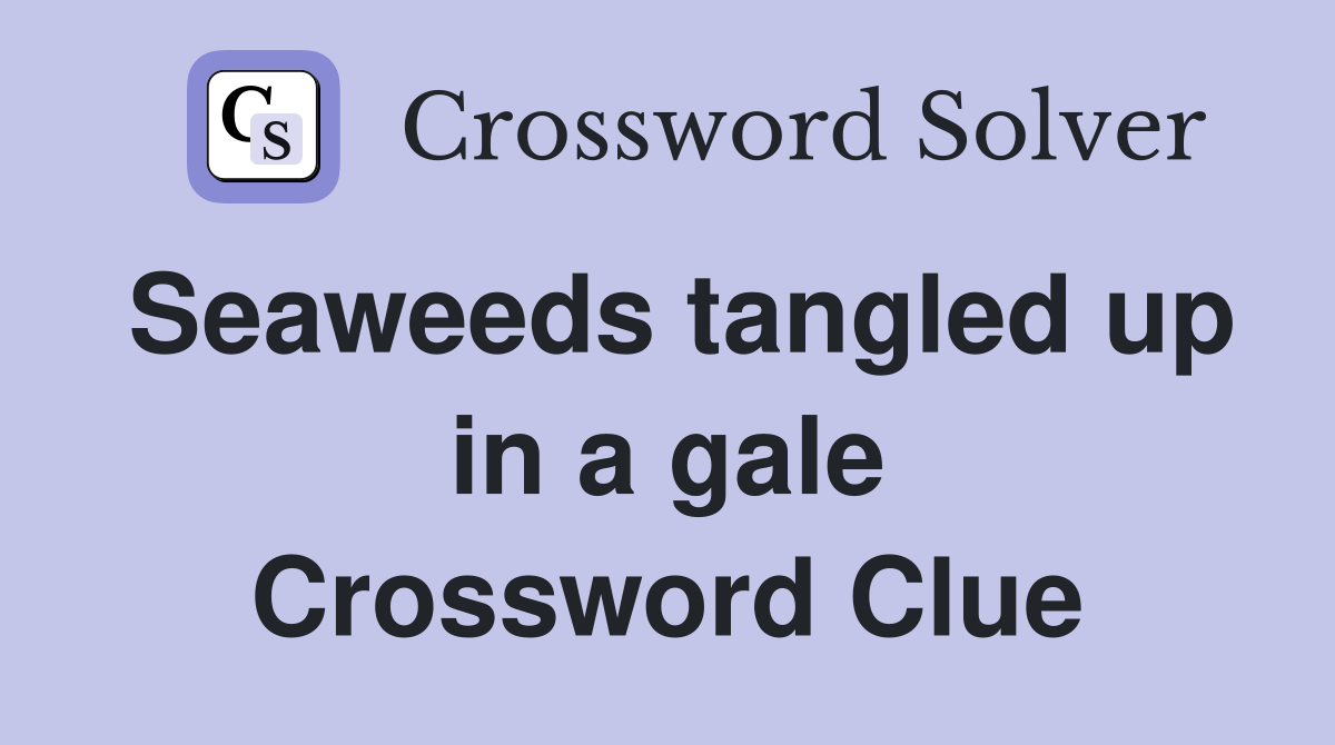 Seaweeds tangled up in a gale Crossword Clue