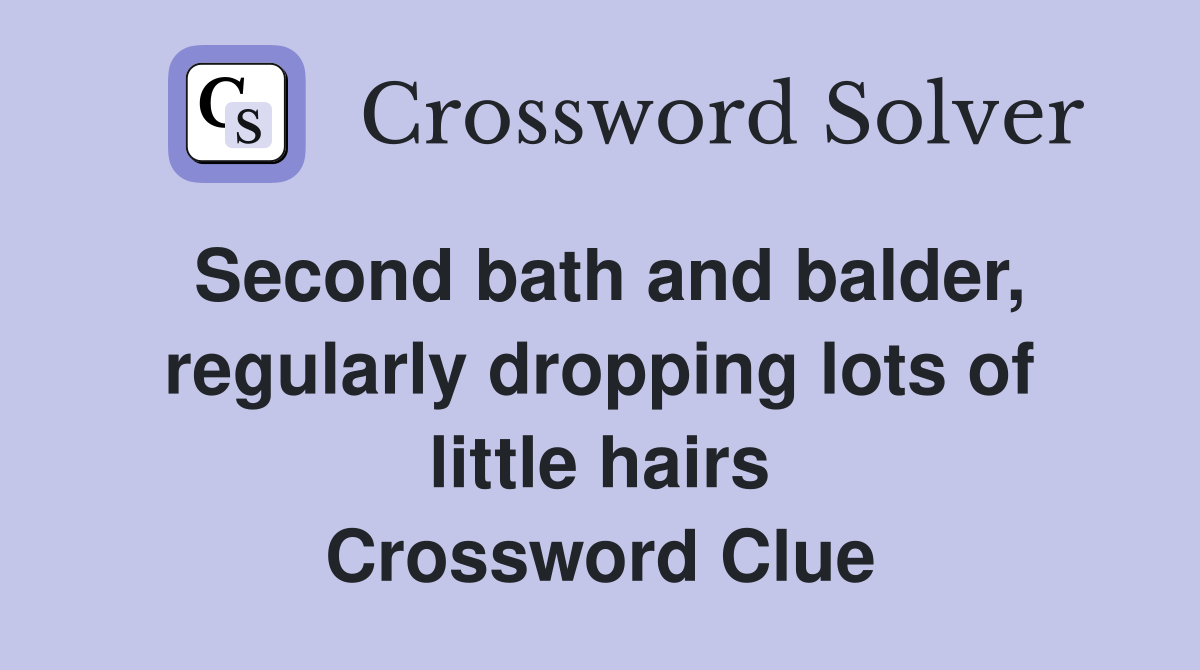 Second bath and balder, regularly dropping lots of little hairs Crossword Clue